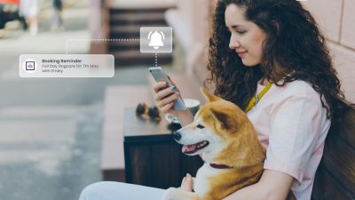 Why Pet Boarding Appointment Reminders Matter (And How Picktime Makes Them Effortless)