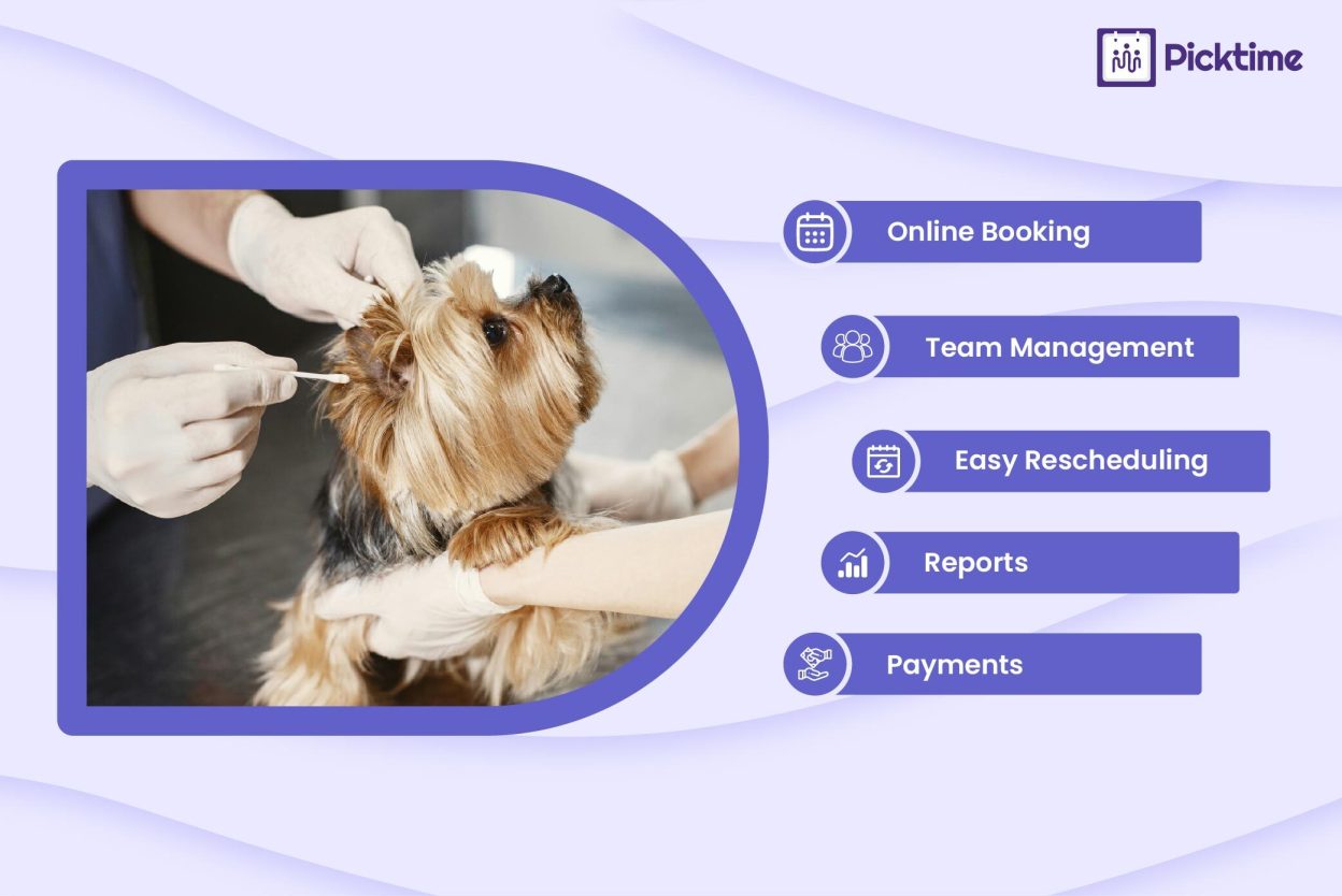 How Veterinary Software Solves Scheduling Problems in Busy Clinics