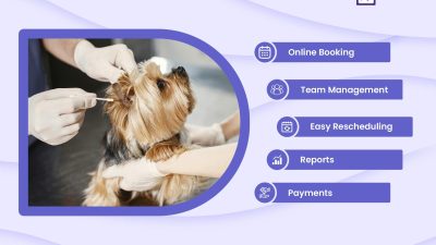 How Veterinary Software Solves Scheduling Problems in Busy Clinics