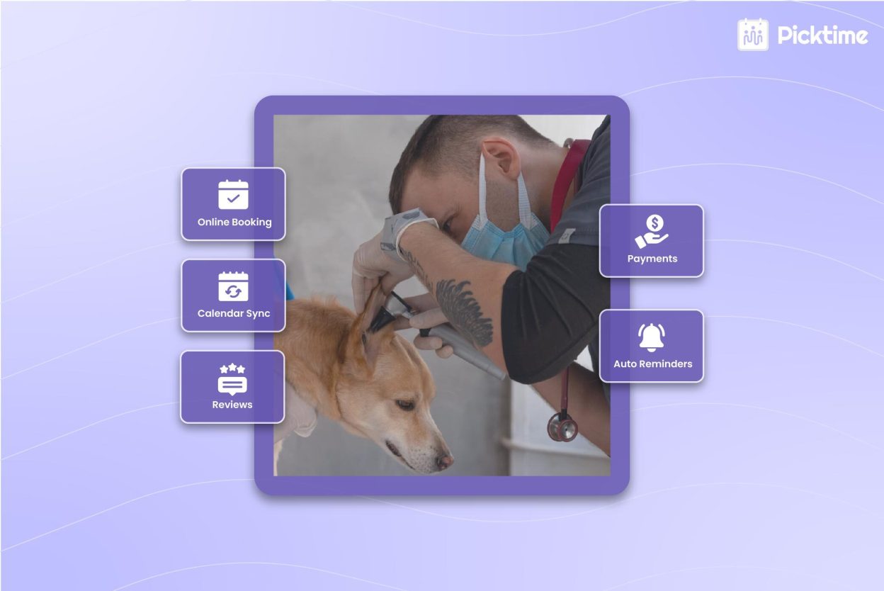 Why Small Veterinary Practices Should Switch From Traditional Appointments to Online Scheduling