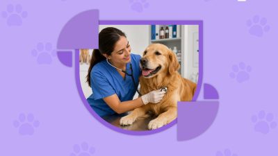 Veterinary Management Software: The General Revenue Leak Most Clinics Ignore