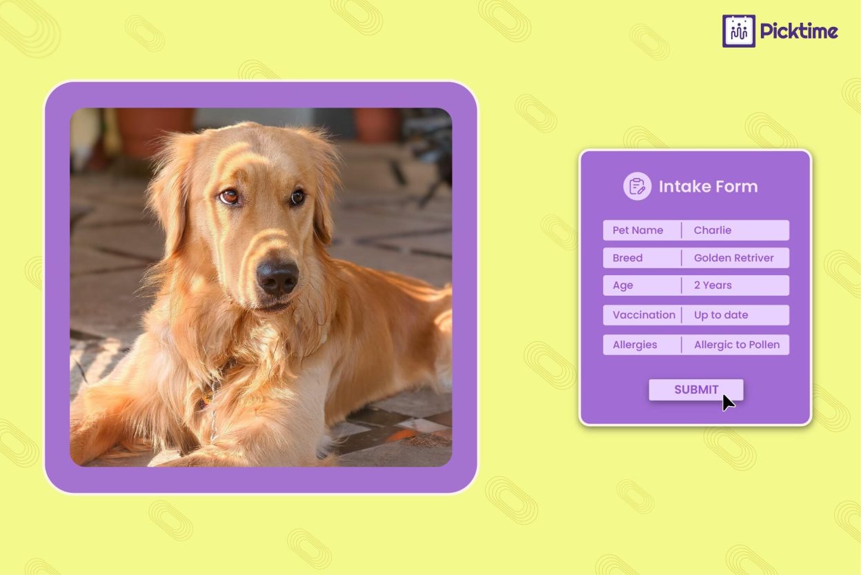 How to use Intake Forms That Make Doggy Daycare Management Easier