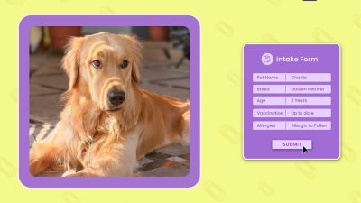 How to use Intake Forms That Make Doggy Daycare Management Easier