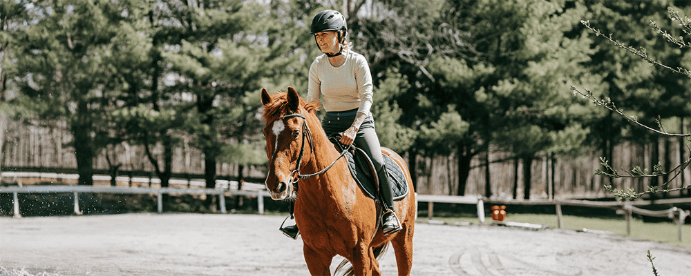 Horse Riding Lesson Scheduling Software