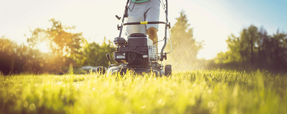 Lawn Care and Gardening Scheduling Software