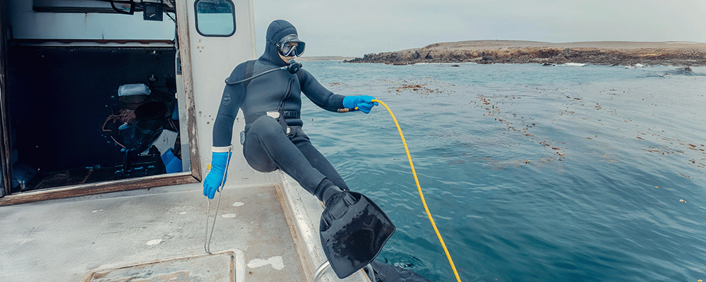 Scuba Diving and Snorkeling Scheduling Software